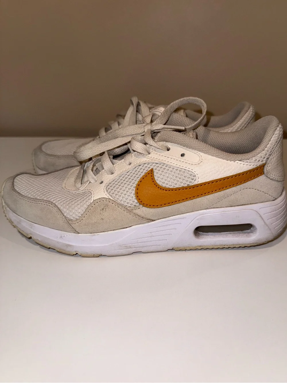 Nike Air Max Women's Shoes